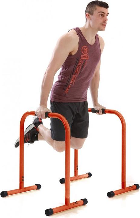 Actual product image Sveltus Parallettes