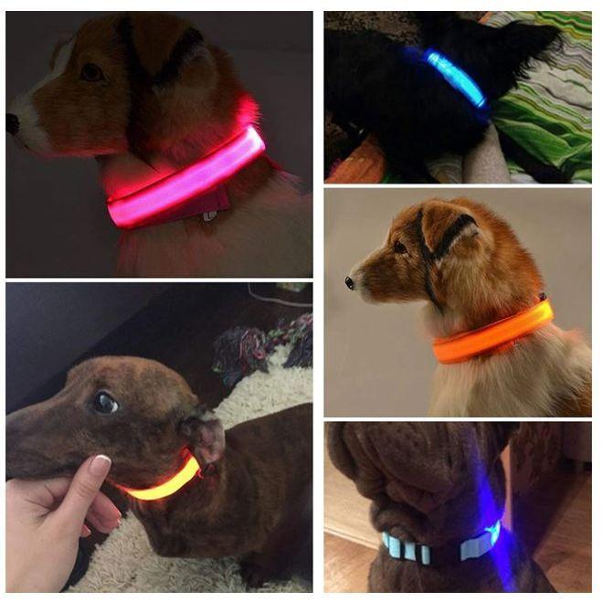 Immagine prodotto MU Classic Collare luminoso per cani della serie Maiko (Cane, Sport cane)