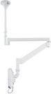 Immagine prodotto Neomounts Fpma-Hac100hc (Soffitto, 32")