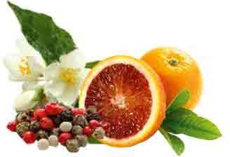 Produktbild Sentiotec Sauna Duftkonzentrat Jasmin-Blutorange-Pfeffer 100ml