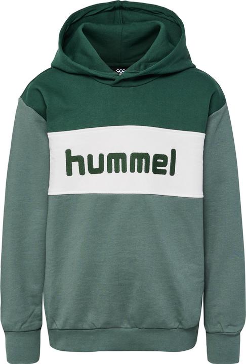 Produktbild hummel hmlMORTEN HOODIE (164)