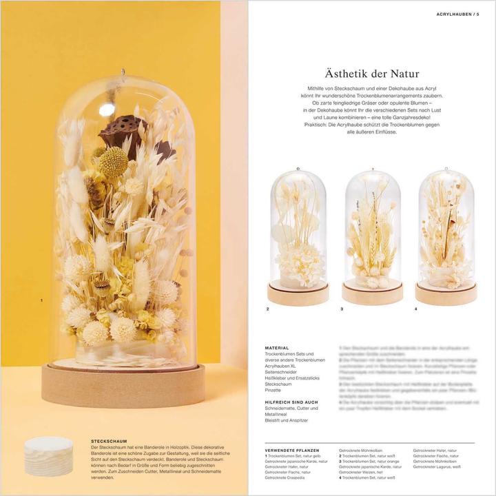 Image du produit Rico Design Handbuch Made by Me Trockenblumen 20 Seiten (Allemand, 2023)