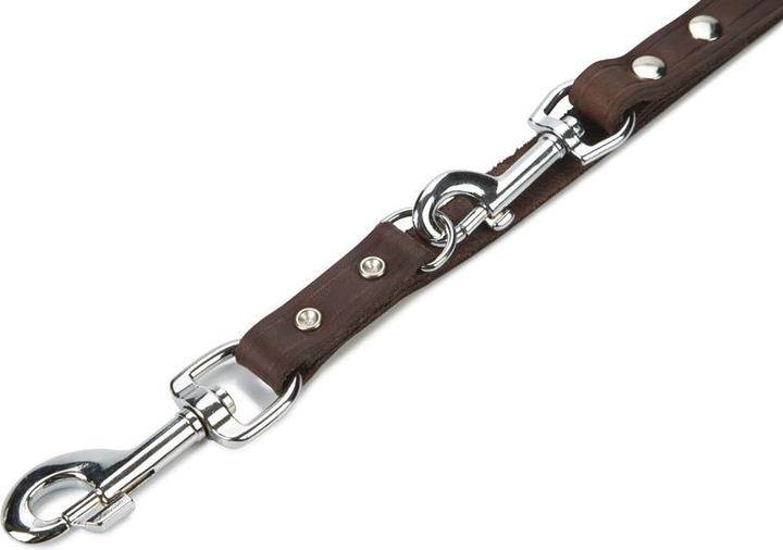 Actual product image Beeztees BZ LED LEADER BROWN 240X18 (Dog, Dog sport)