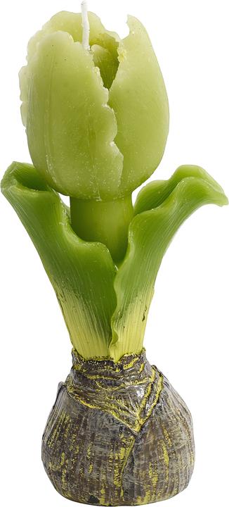 Immagine prodotto Nordal Tulipano (1 pz.)