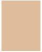 Actual product image Dermacol Make-Up Cover (210)