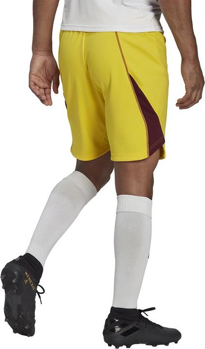 Actual product image adidas Tiro 23 Goalkeeper Shorts Men (XL)