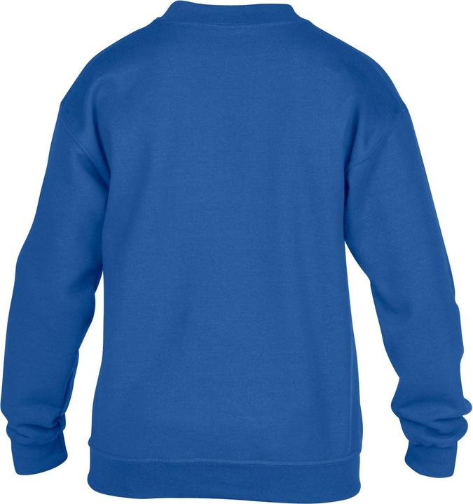 Image du produit Gildan - Sweat - Enfant (158, 164)