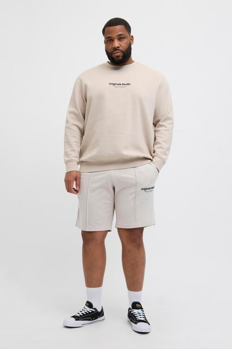 Produktbild Jack & Jones Plus Size Loose Fit Sweat-Shorts Sweat-Shorts (48)