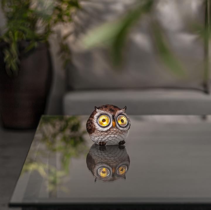 Actual product image Star Trading Display Solar Light Owl