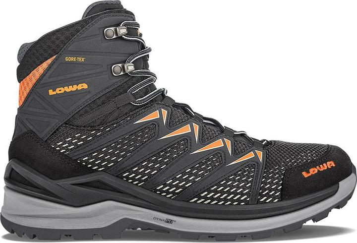 Produktbild Lowa Innox Pro GTX (45)
