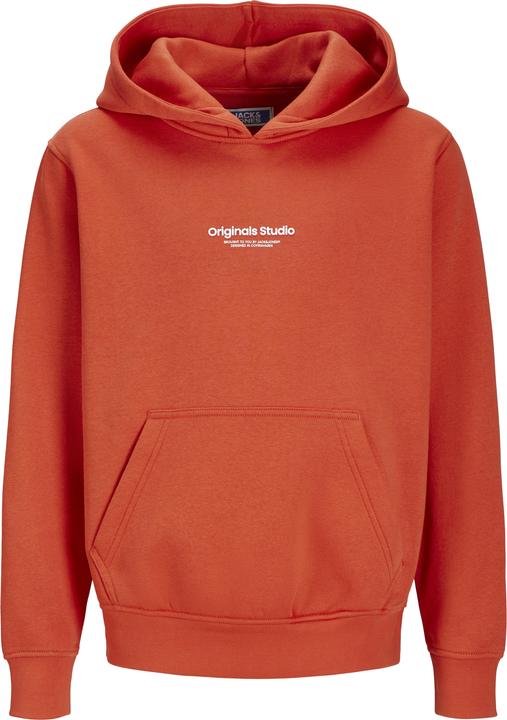 Actual product image Jack & Jones Printed Hoodies For Boys Hoodies (140)