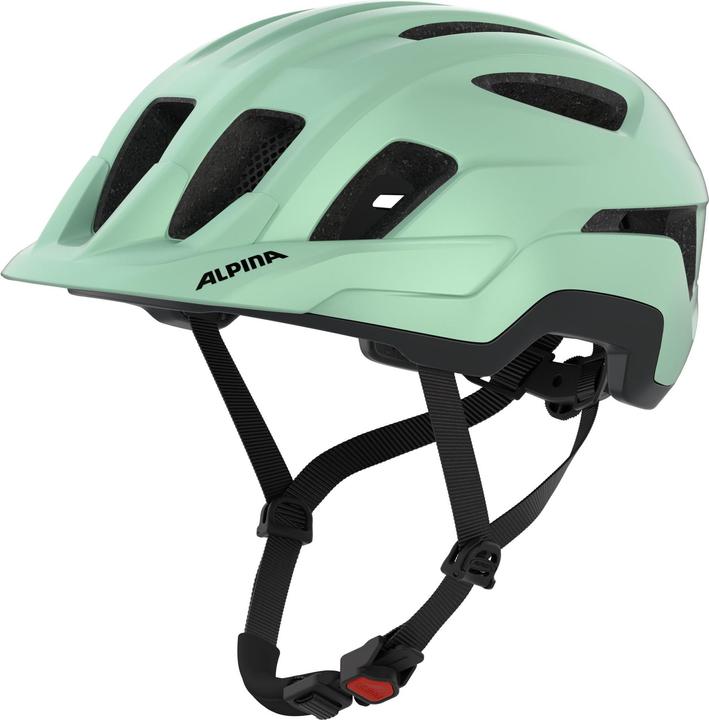 pastel green matt