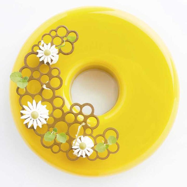 Actual product image Pavoni Silicone Mould Hops Half Moon Circles