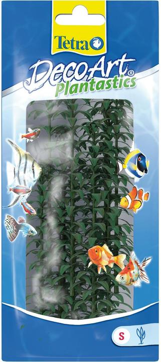 Image du produit Tetra Plantastics Plus Hygrophilie (Plantes, Plantes)