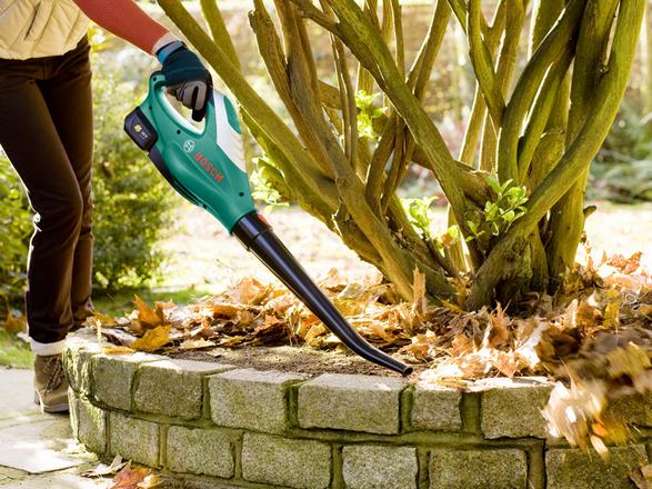 Actual product image Bosch Home & Garden Alb 18 Li Eu