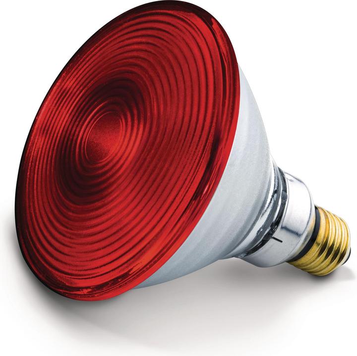 Image du produit Beurer Ersatzstrahler 150 Watt von Philips für Infrarotlampen (150 W)