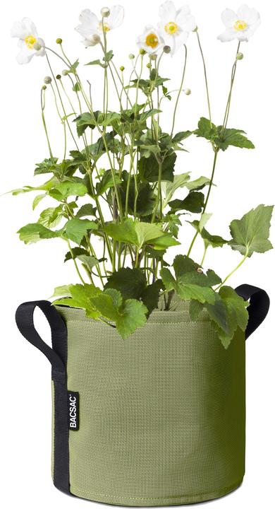 Actual product image Bacsac Planter bag (23 cm)