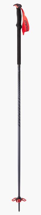 Produktbild Dynafit Skistock Tour Pole (145 cm)