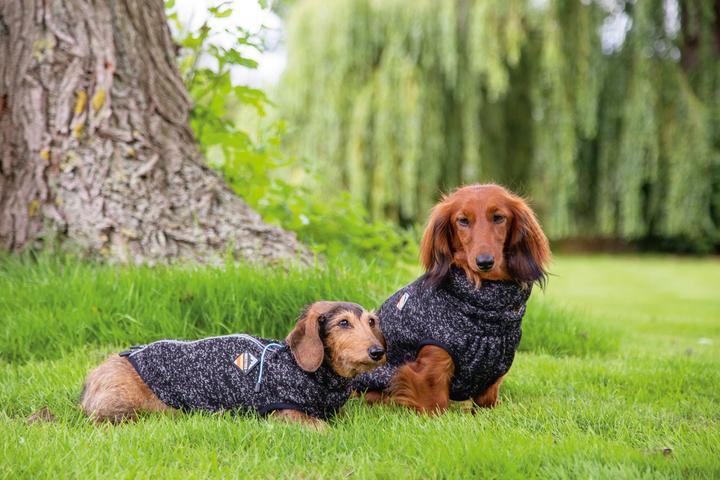 Produktbild Beeztees Hundepullover Celia (40, Hundepullover)
