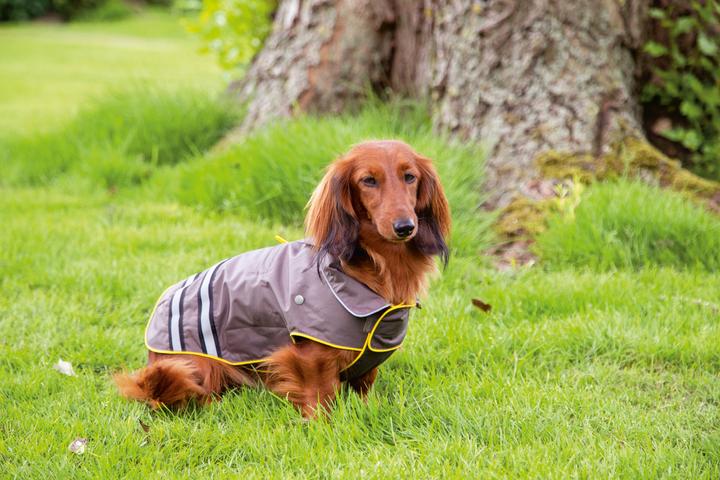 Produktbild Beeztees Seja (L, Hundemantel)