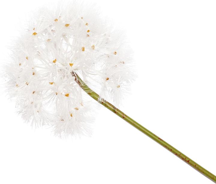 Produktbild Casativo Künstliche Löwenzahn-Blüte aus Kunststoff
