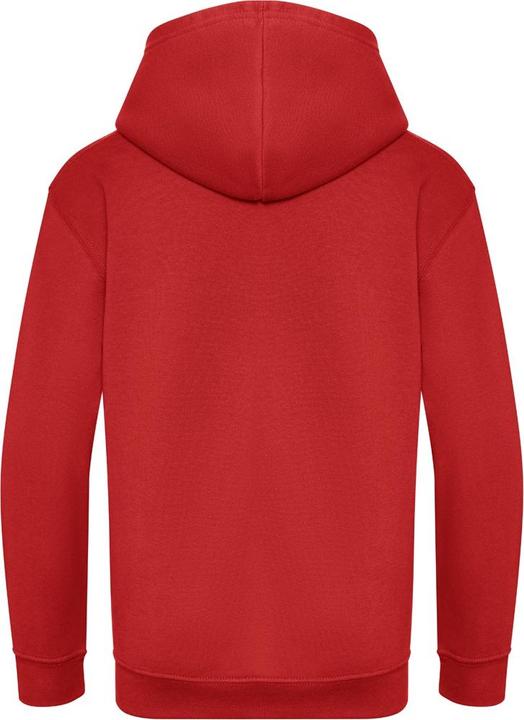 Image du produit Awdis Sweat à capuche issu de l'agriculture biologique (104)