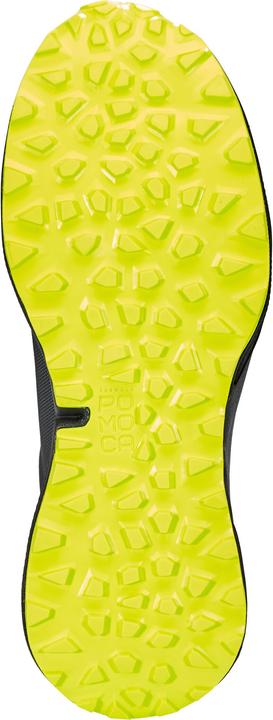 Actual product image Dynafit Ultra 100 GTX (44)