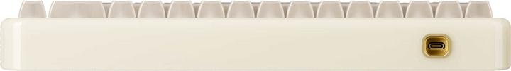 Image du produit Akko YU01 Antique Jade Clavier de jeu, RGB - 65%, V3 Piano Pro Switches (ISO) (US, Filaire, Sans fil)