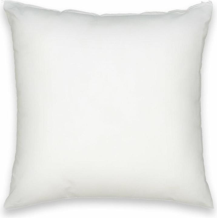 Actual product image La Redoute Interieurs Terra (40 x 40 cm)