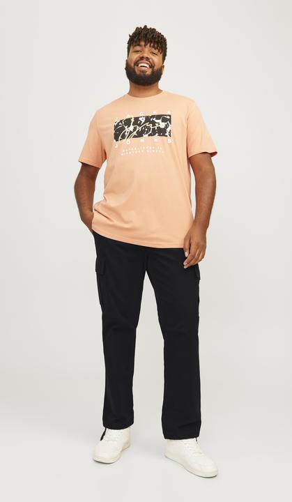 Actual product image Jack & Jones Jpstkane Jjbarkley Cargo Pant Noos Pls (46)