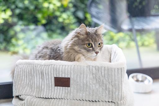 Image du produit Designed by Lotte Panier pour chats Ribbed (Chat)