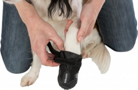 Actual product image Trixie Paw protector Walker Active Gr.L (L, Dog boots)