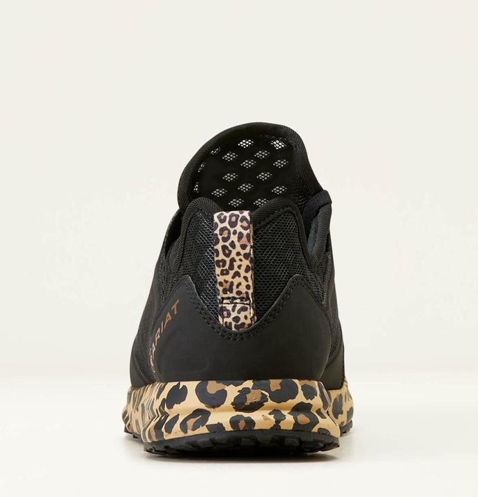 Image du produit Ariat baskets fuse (41.5)