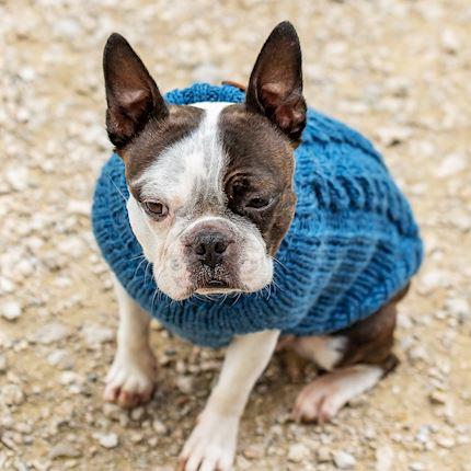 Produktbild Chiara Jade (S, Hundepullover)