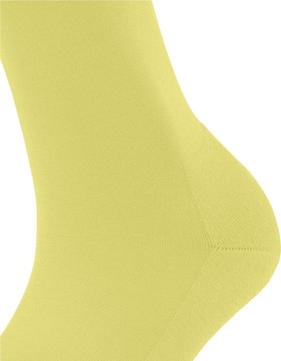 Immagine prodotto Falke ClimaWool Damen (41 - 42)