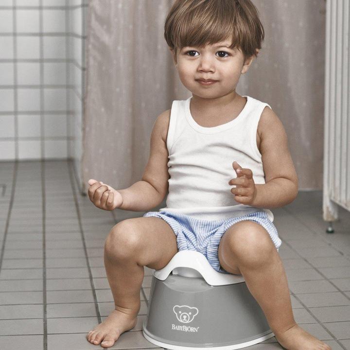 Actual product image BabyBjörn Pot Clever