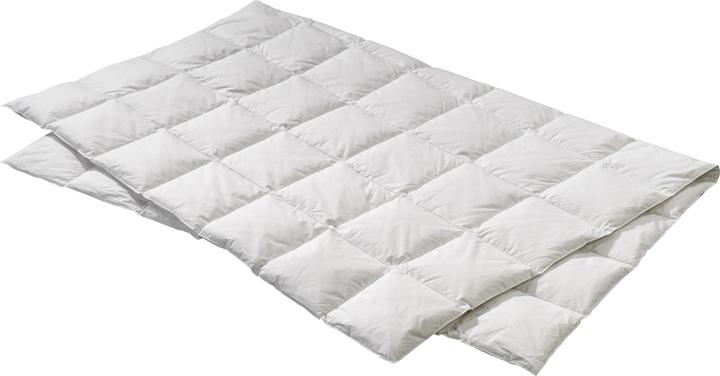 Image du produit Billerbeck Edition Elwine Light (500 g, 160 x 210 cm)