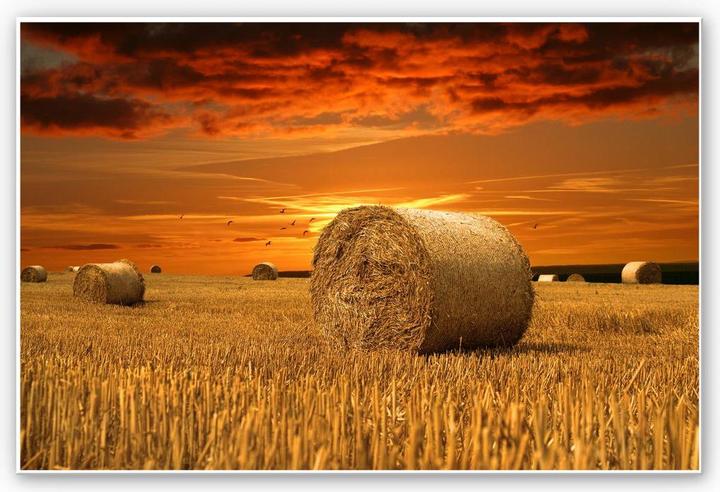 Actual product image Trenddeko straw bale (30 x 20 cm)