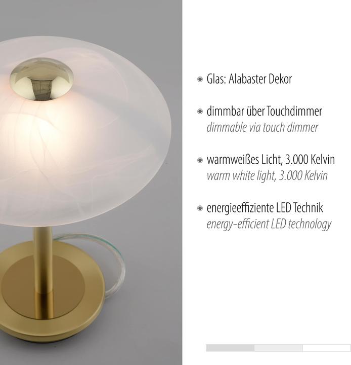 Actual product image Paul Neuhaus Enova (265 lm, G9)
