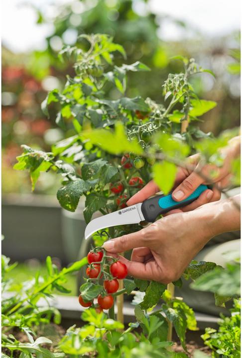 Immagine prodotto Gardena VeggieCut