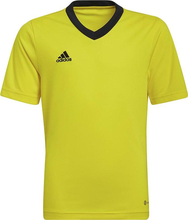 Produktbild adidas Entrada 22 Trikot (140)