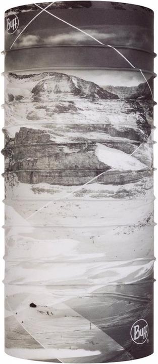 Vierge au joug gris