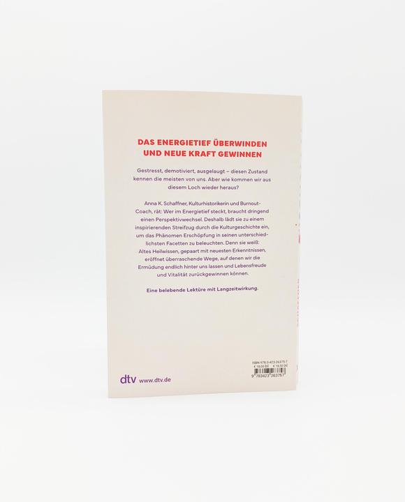 Produktbild Erschöpft? (Deutsch, Anna Katharina Schaffner, Beate Schäfer, 2024)