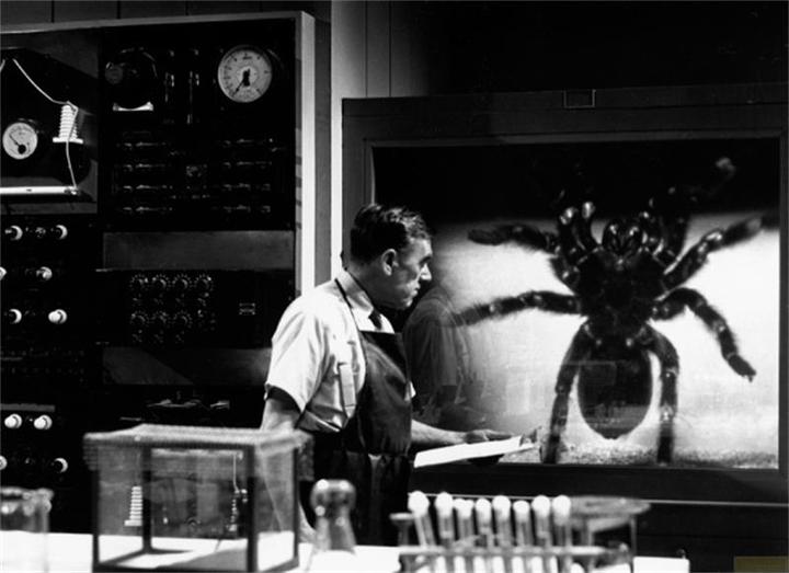 Image du produit Plaion Tarantula (Blu-ray, 2014, Allemand)