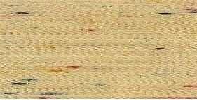 Immagine prodotto Madeira Filo da ricamo Rayon 40 200m colore 2304 (200 m)