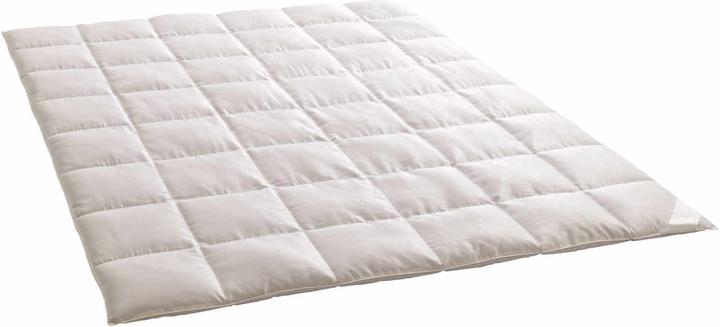 Dauny Eider Caro silk down comforter (160 x 210 cm)