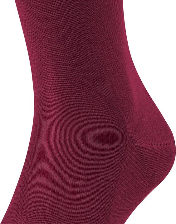Image du produit Falke Tiago (Lot de 3) Chaussettes hauteur genou, couleur 8596 barolo, taille 39-40 (Une unité par pack, 39 - 40)