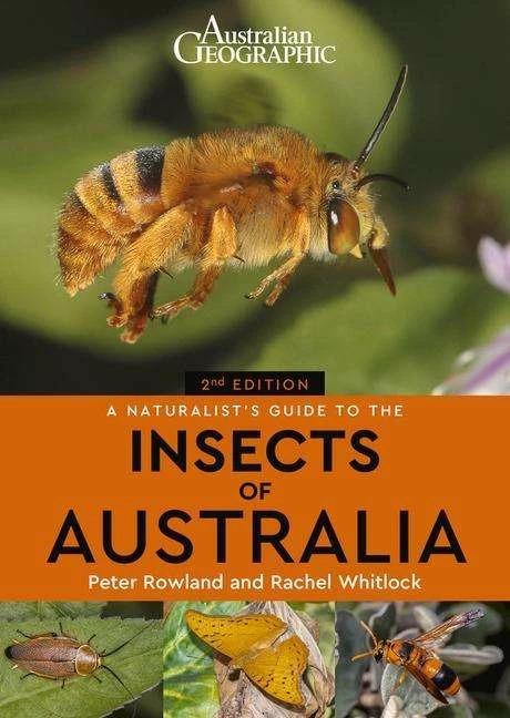 Actual product image A Naturalist's Guide to the Insects of Australia (English, Peter Rowland, 2022)