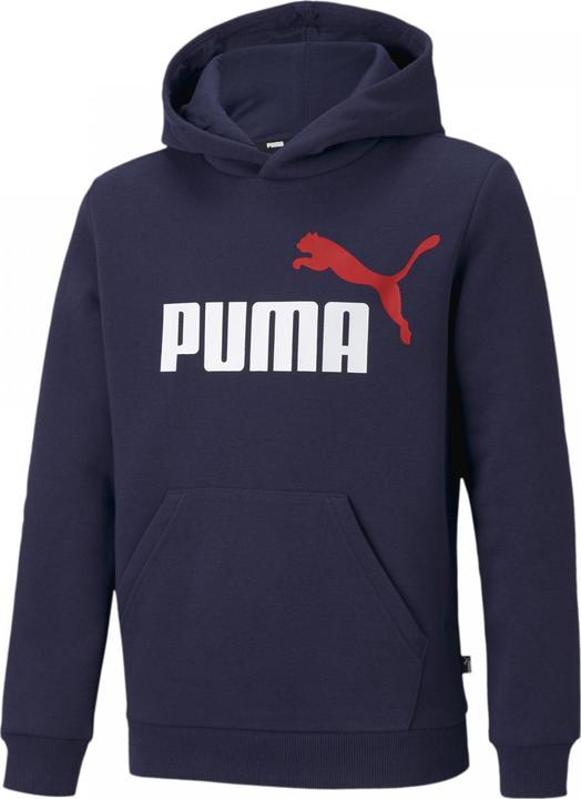 Actual product image Puma ESS+ 2 Col Big Logo Hoodie FL B (128)