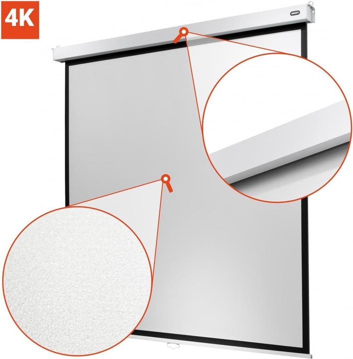 Produktbild Celexon Rollo-Leinwand Professional Plus (98.43", 4:3)